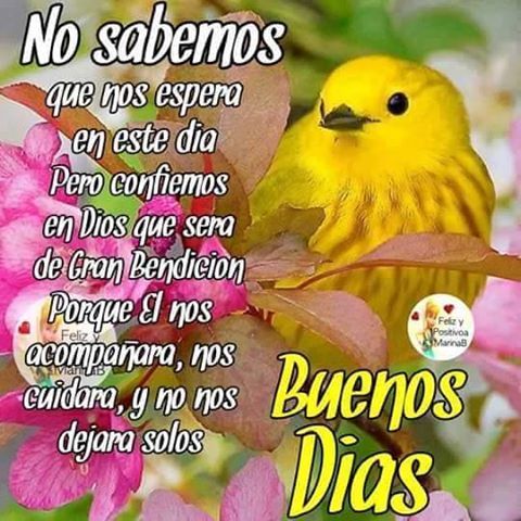 Featured image of post Imagenes Cristianas De Buenos Dias Animadas