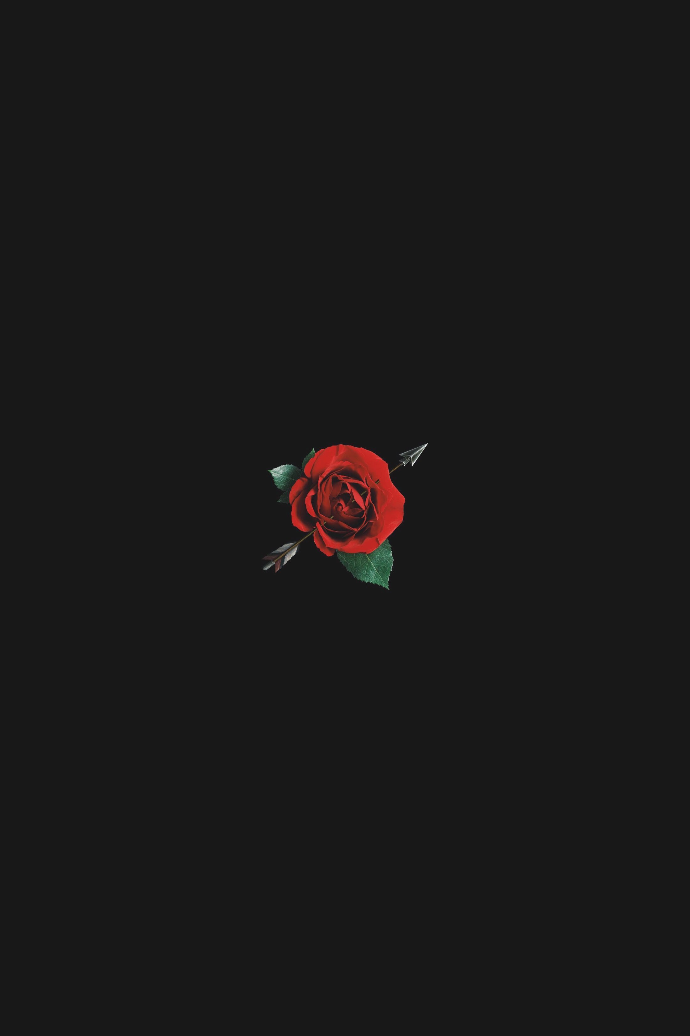 Featured image of post Rose Wallpaper Aesthetic Black